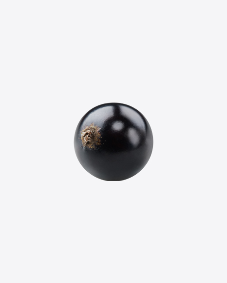 Black Currant Berry PNG