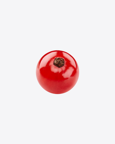 Red Currant Berry