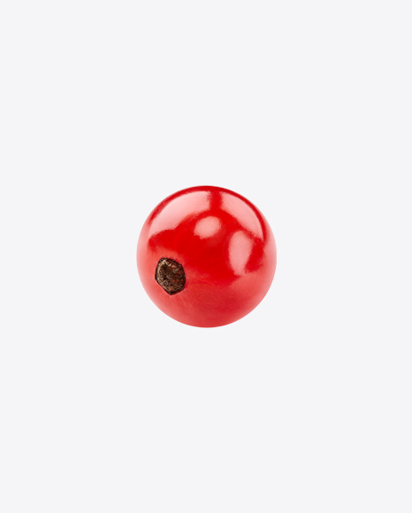 Red Currant Berry PNG