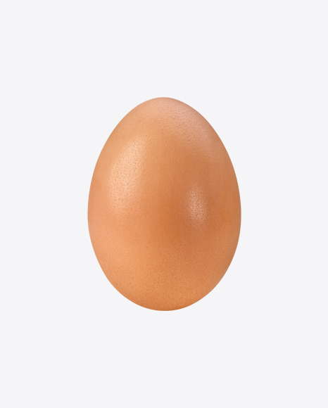 Egg PNG