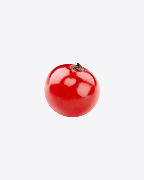 Red Currant Berry PNG