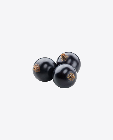Black Currant Berries PNG