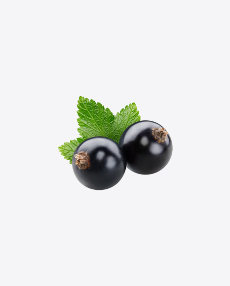 Black Currant Berries w/ Leaf PNG