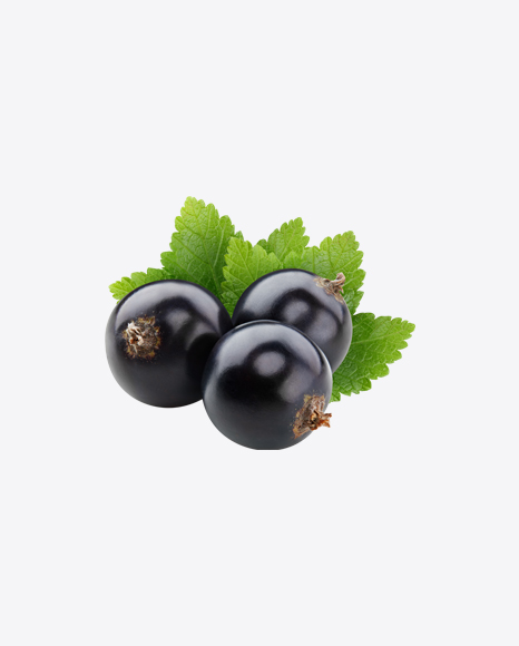 Black Currant Berries w/ Leaves PNG