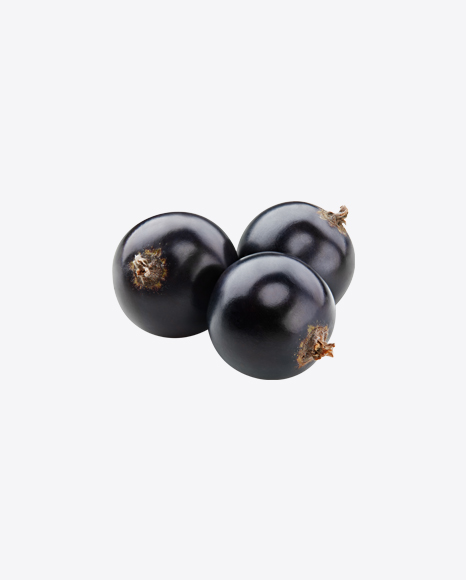 Black Currant Berries PNG