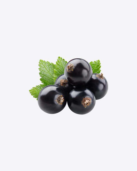 Black Currant Berries w/ Leaf PNG