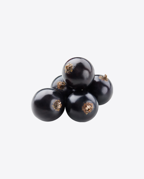 Black Currant Berries PNG