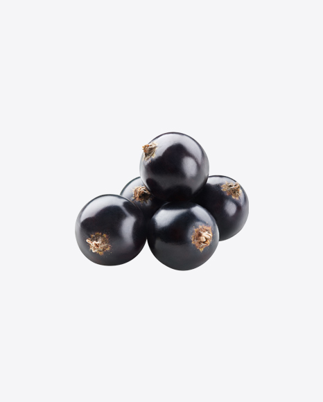 Black Currant Berries PNG