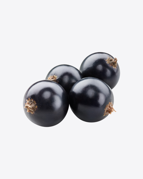 Black Currant Berries PNG