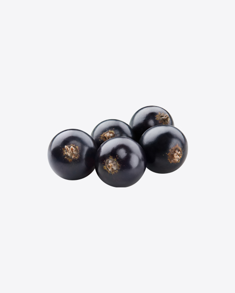 Black Currant Berries PNG