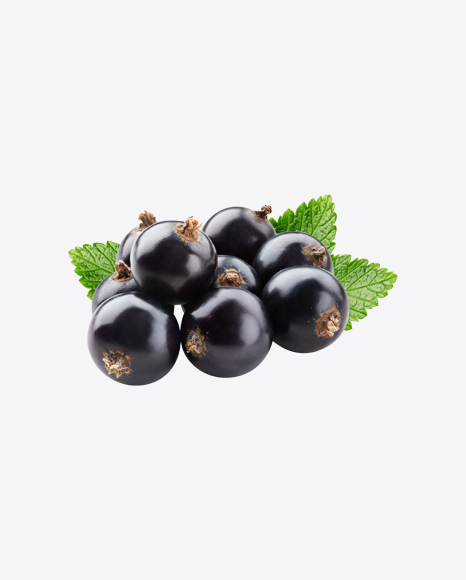 Black Currant Berries w/ Leaf PNG
