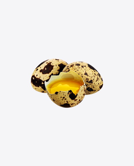 Quail Egg