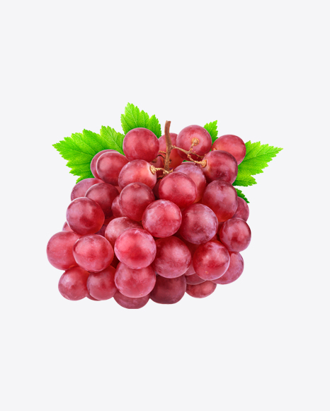 Red Grape Branch