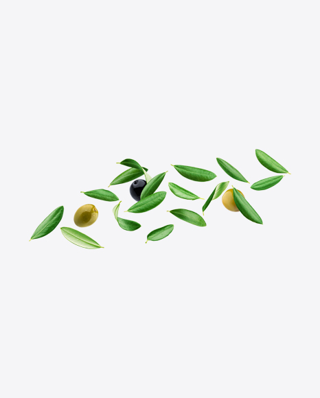 Olives Set