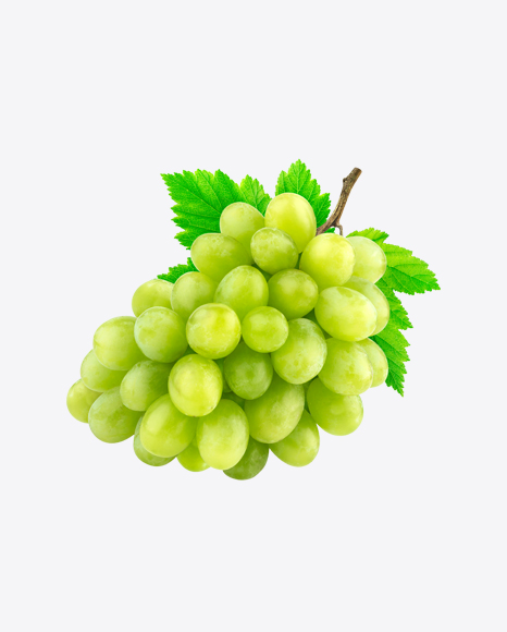 Green Grape Branch PNG