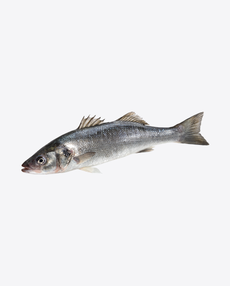 Herring Fish PNG