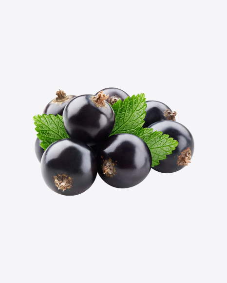 Black Currant Berries w/ Leaf PNG