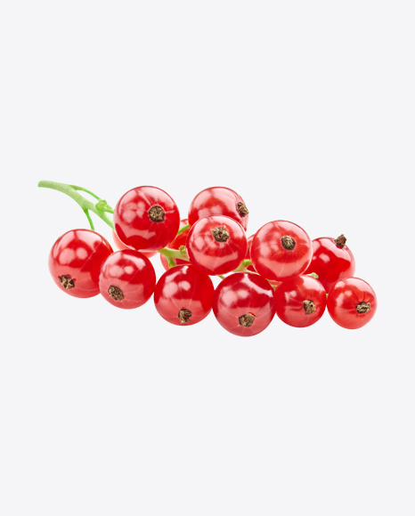 Red Currant Branch PNG