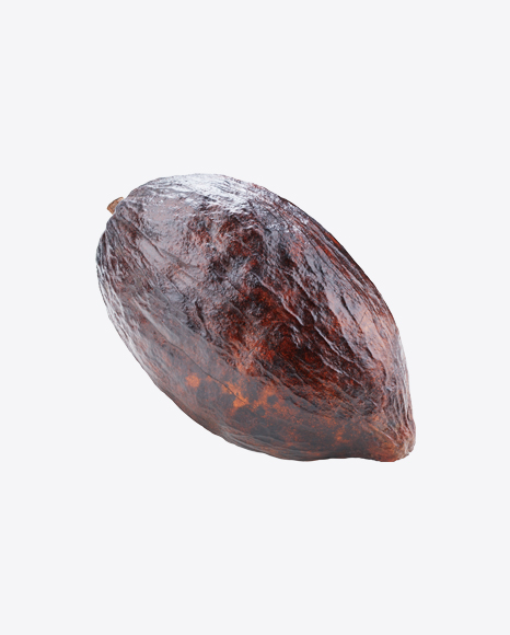Cocoa Fruit PNG