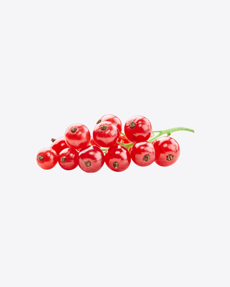 Red Currant Branch PNG