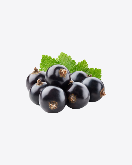 Black Currant Berries w/ Leaf PNG
