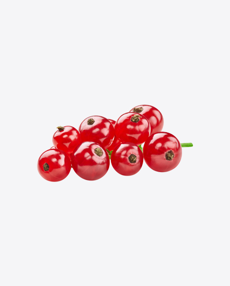 Red Currant Branch PNG