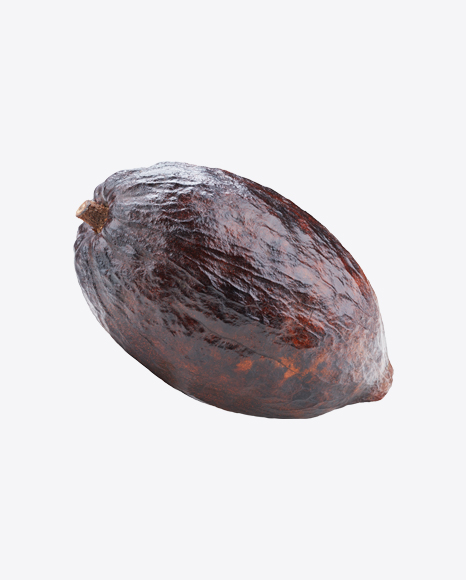 Cocoa Fruit PNG
