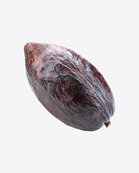 Cocoa Fruit