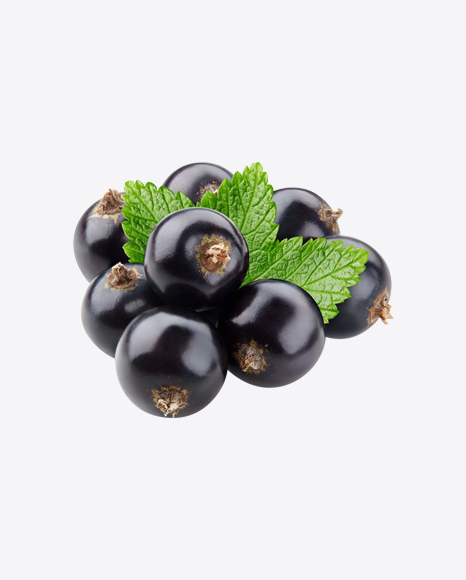 Black Currant Berries