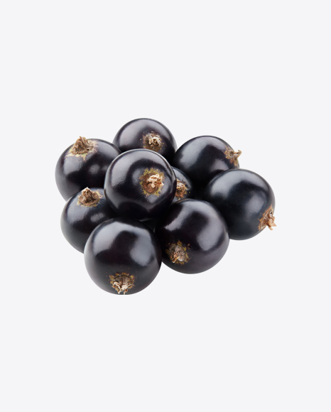 Black Currant Berries