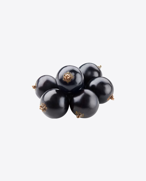 Black Currant Berries PNG