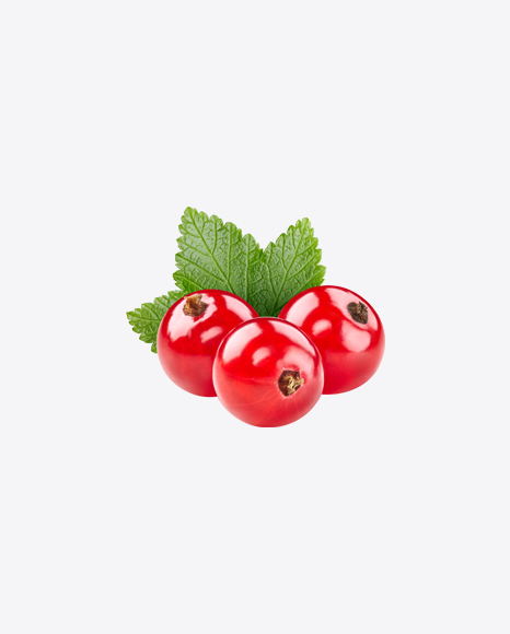 Red Currant Berries w/ Leaf PNG