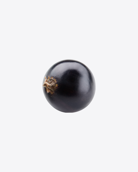 Black Currant Berry PNG
