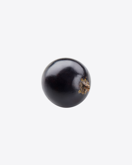 Black Currant Berry PNG