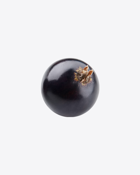 Black Currant Berry PNG