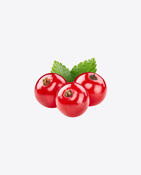 Red Currant Berries w/ Leaf PNG