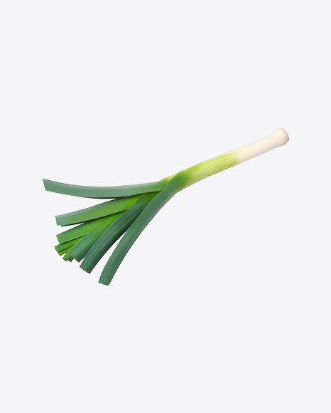 Leek PNG