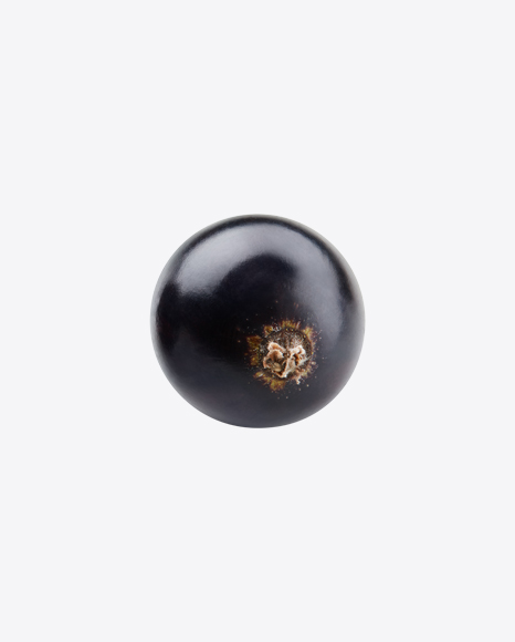 Black Currant Berry PNG