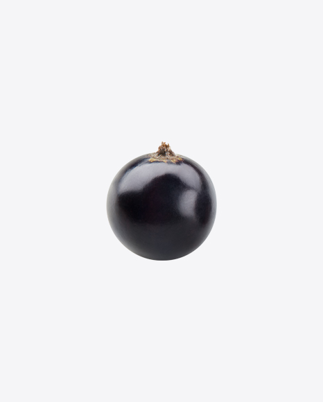 Black Currant Berry PNG