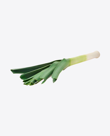 Leek PNG