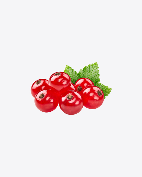 Red Currant Berries w/ Leaf PNG