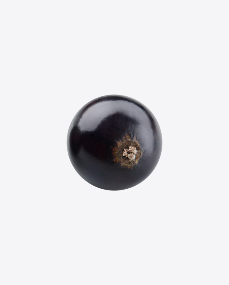 Black Currant Berry PNG