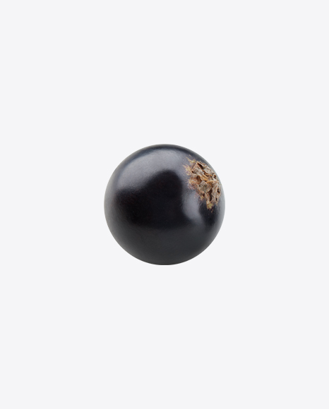 Black Currant Berry