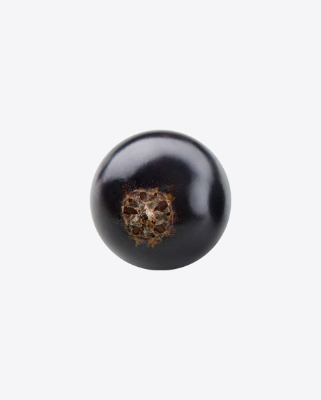 Black Currant Berry PNG