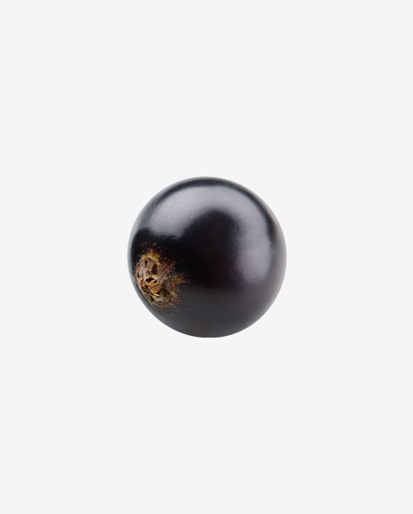 Black Currant Berry PNG