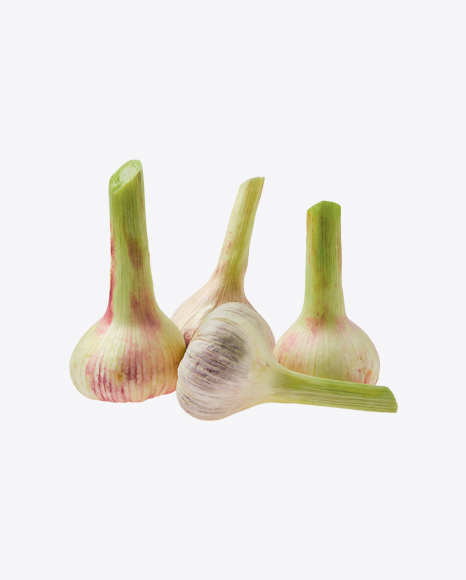 Garlic Bulbs PNG