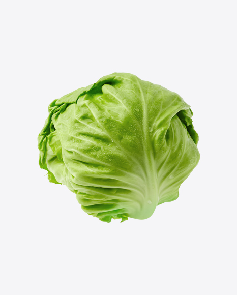 Cabbage PNG