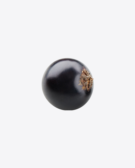 Black Currant Berry PNG