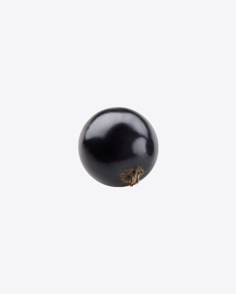Black Currant Berry PNG