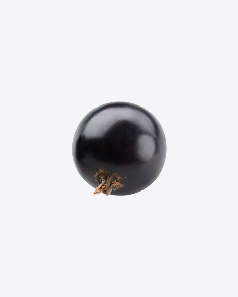 Black Currant Berry PNG